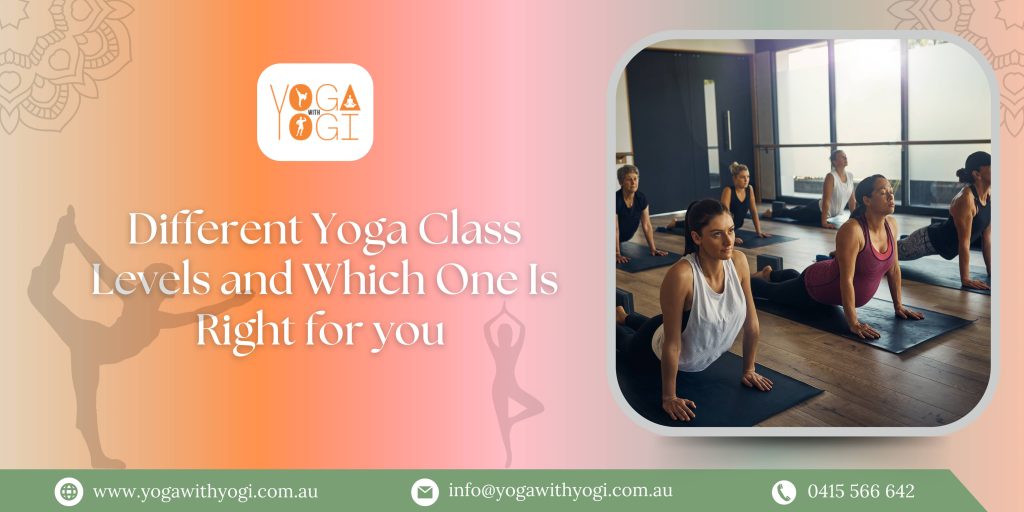 Different Yoga Class Levels and Which One Is Right for you 